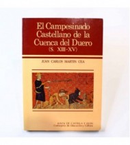 El campesinado castellano de la cuenca del Duero: Aproximaciones a su estudio durante los siglos XIII al XV libro
