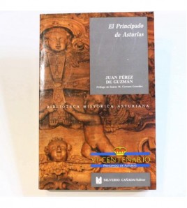 El Principado de Asturias: Bosquejo histórico-documental (Biblioteca histórica asturiana) libro