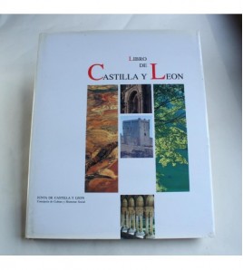 Libro De Castilla y León (  language)