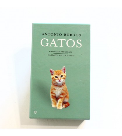 libros sobre gatos